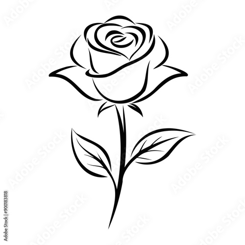 A rose outline vector illustration