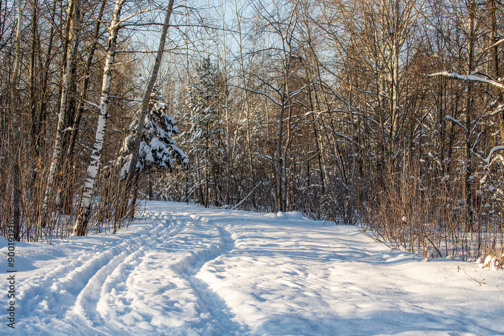 snowy road along the winter forest snowy road along the winter forest