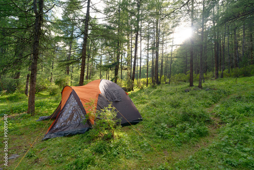 camping teent in the woods photo