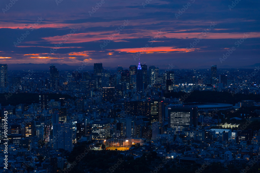 Fototapeta premium Japanese City Scape skyline