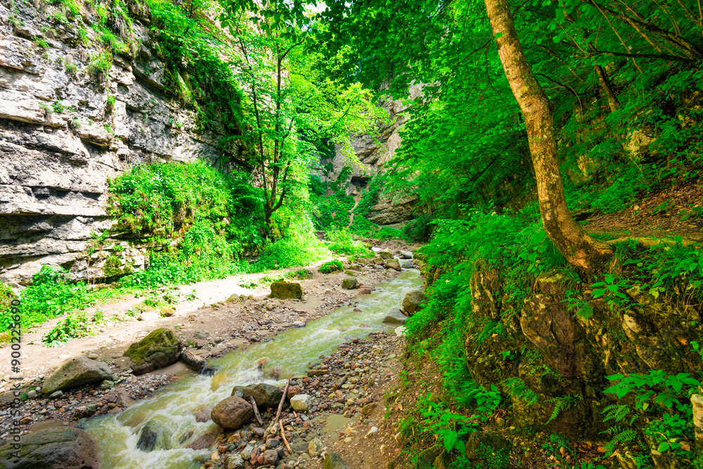 A mountain river with a high steep bank in clear sunny weather A mountain river with a high steep bank in clear sunny weather