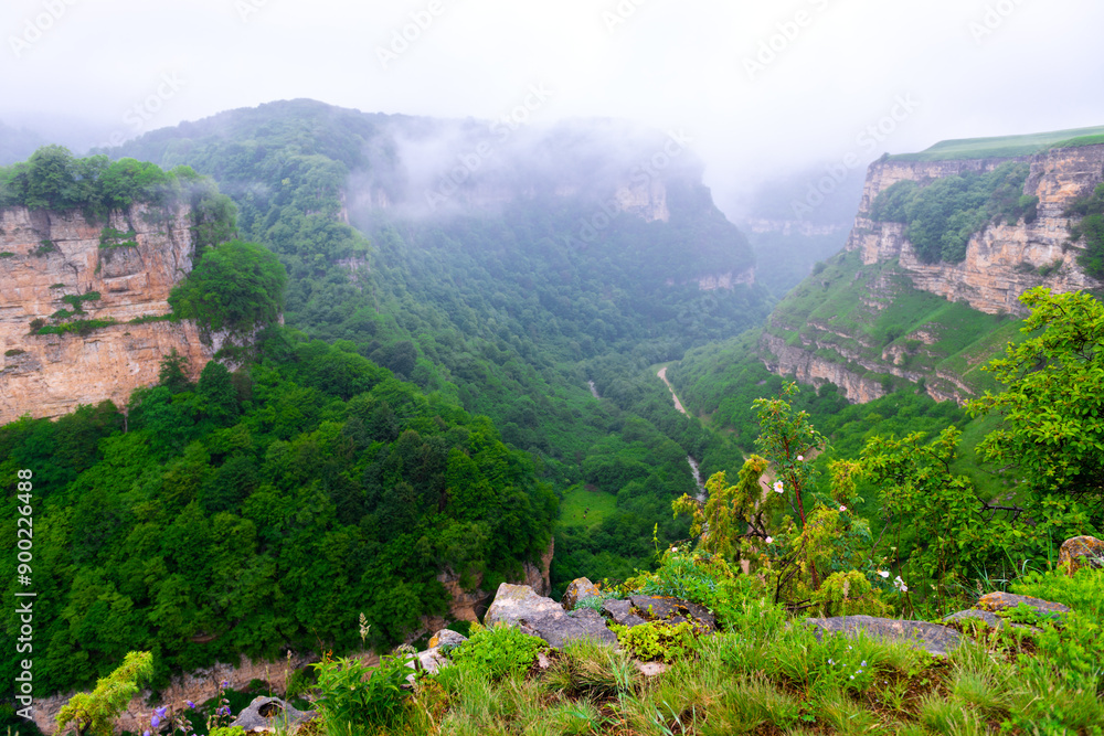 Fototapeta premium Picturesque view of the Tysilsky canyon in bad weather. Kabardino-Balkaria. Russia