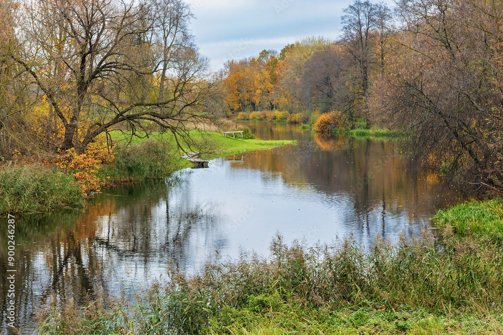 A view of a river flowing through a lush green forest in autumn A view of a river flowing through a lush green forest in autumn