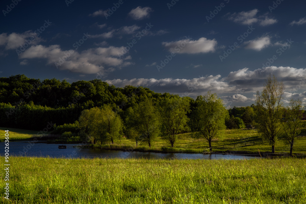 Obraz premium Łąka