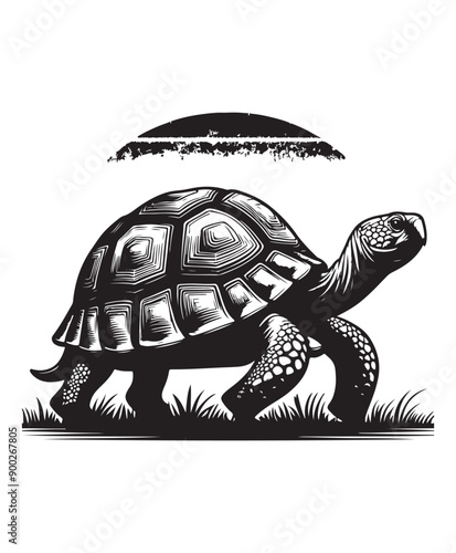 tortoise vector art,graphics tortoises icons set,vintage illustration tortoise clipart,vector tortoises flat style artwork design