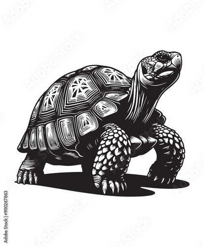 tortoise vector art,graphics tortoises icons set,vintage illustration tortoise clipart,vector tortoises flat style artwork design