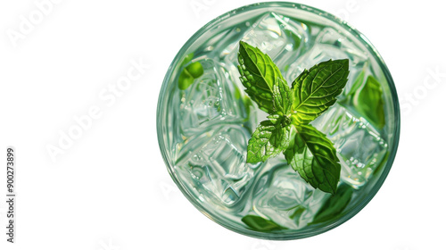 Refreshing Mint Cocktail With Ice Cubes Served in Glass On Bright Background