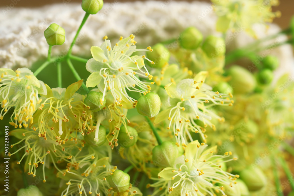 Fresh linden leaves and flowers on table, closeup Fresh linden leaves and flowers on table, closeup