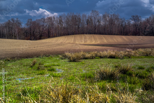 Fototapeta Naklejka Na Ścianę i Meble -  Przedwiośnie