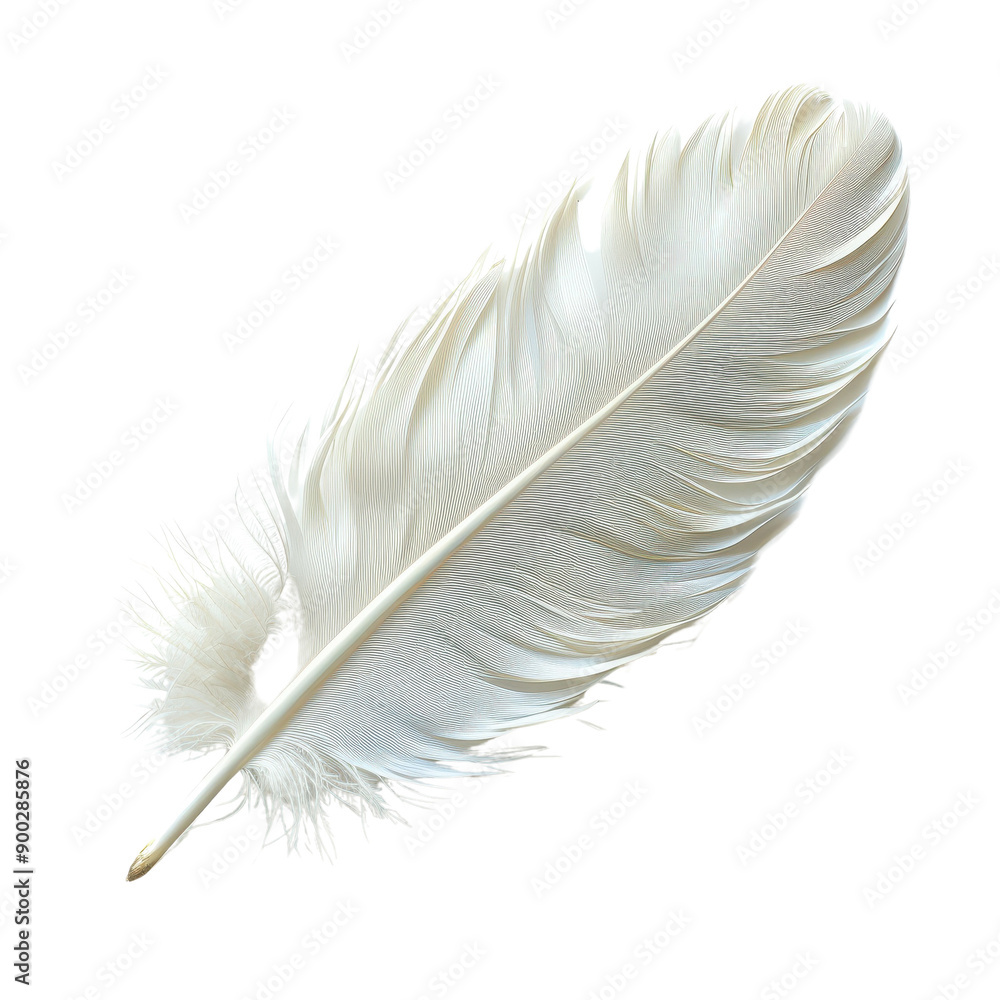 Fototapeta premium White feather isolated on black background.