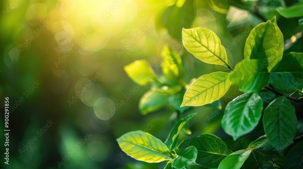 Nature of green leaf in garden at summer. Natural green leaves plants using as spring background cover page greenery environment ecology wallpaper, generative ai Nature of green leaf in garden at summer. Natural green leaves plants using as spring background cover page greenery environment ecology wallpaper, generative ai