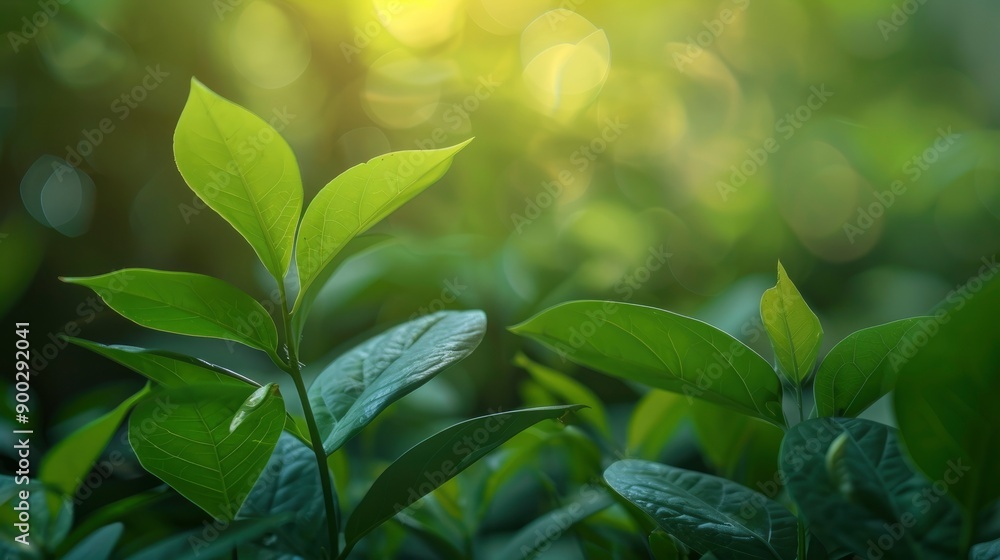 Nature of green leaf in garden at summer. Natural green leaves plants using as spring background cover page greenery environment ecology wallpaper, generative ai Nature of green leaf in garden at summer. Natural green leaves plants using as spring background cover page greenery environment ecology wallpaper, generative ai