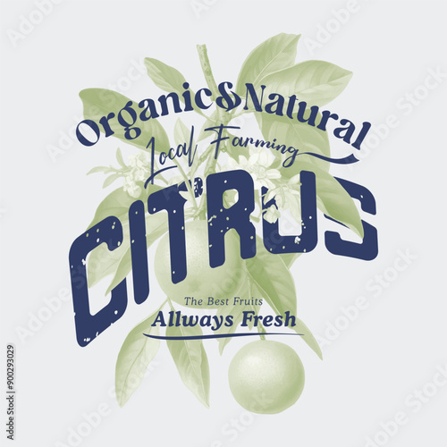 Orange graphic print design, summer fruit design , vintage grunge food fashion orange art, typography slogan text print design, California Malibu, fruit print graphics for t-shirt Design