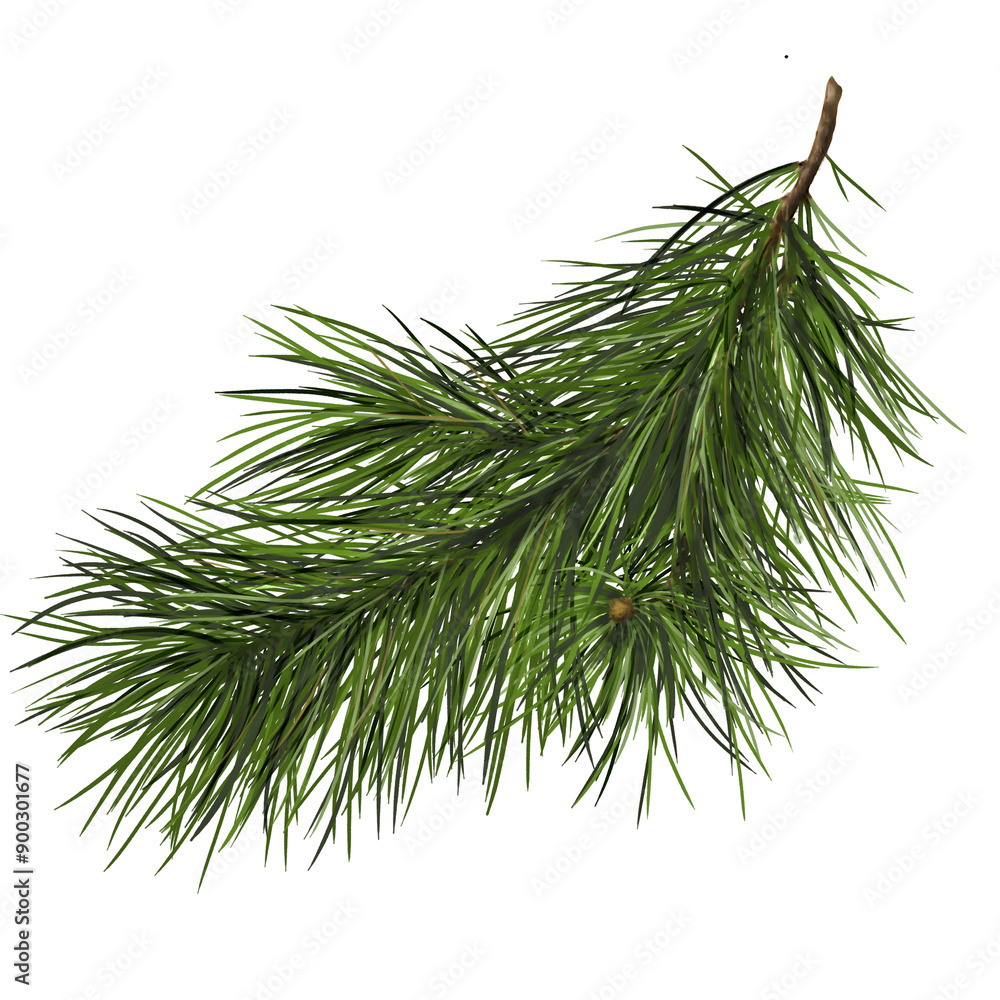 Fototapeta premium Fluffy fir branches. Green Christmas pine branch. Watercolor illustration in digital format. Christmas tree. Pine. Isolated composition on a white background for New Year and Christmas.