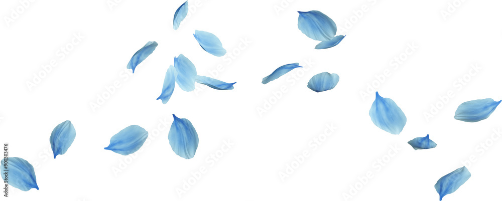 blue cherry blossom petals blue cherry blossom petals