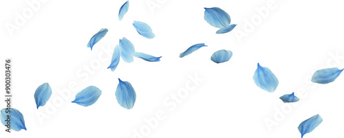 Fotografía blue cherry blossom petals