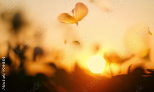 Golden Hour Butterfly Dance: A delicate butterfly takes flight against a blurred backdrop of a vibrant sunset, its wings catching the golden light. 