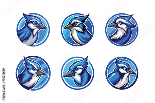 Logo of blue jay bird, labeled vector art design illustration. photo