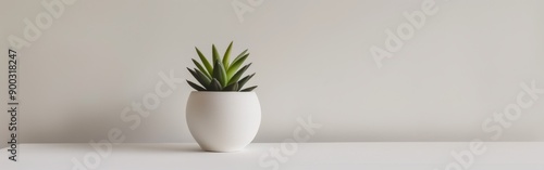 Potted Succulent on Minimalist White Table Against Light Wall © BrandwayArt