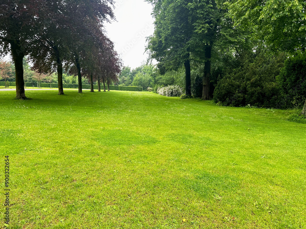 Obraz premium Picturesque view of trees and green grass in park