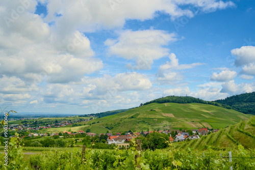 Aerial view of Neuweier wine village near Baden Baden, showcasing vineyards and landscape on a sunny day photo