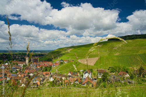 Aerial view of Neuweier wine village near Baden Baden, showcasing vineyards and landscape on a sunny day photo