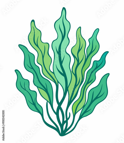 Hand drawn seaweed isolated on white. Cartoon style vector illustration.