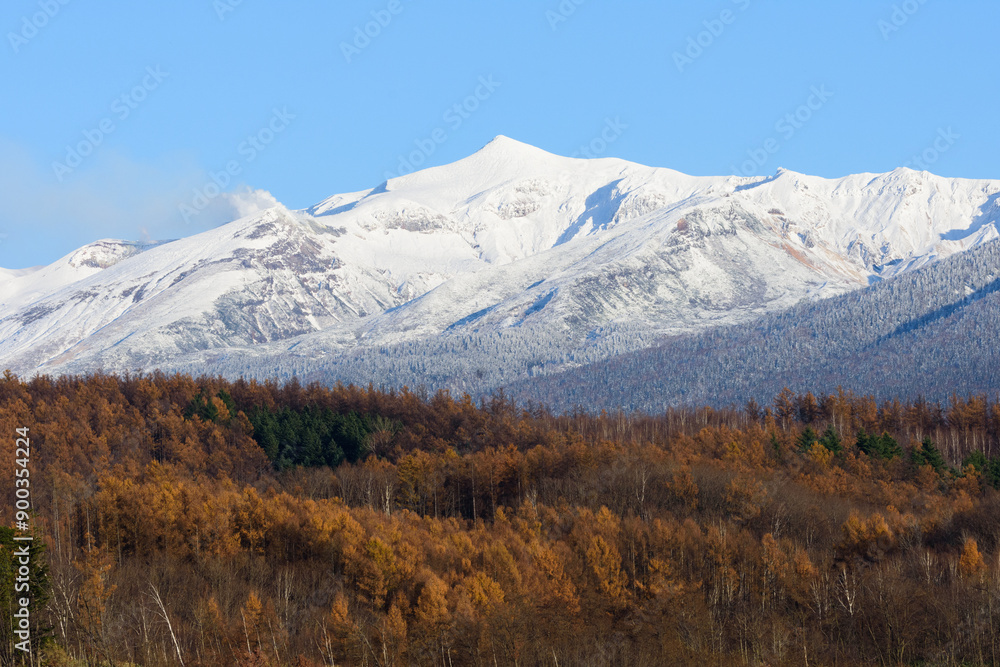 秋の富良野の紅葉と冠雪した十勝連峰 秋の富良野の紅葉と冠雪した十勝連峰