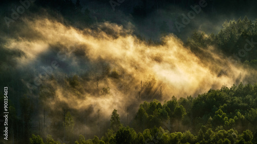 Smoke in the woods - Rauchender Wald photo