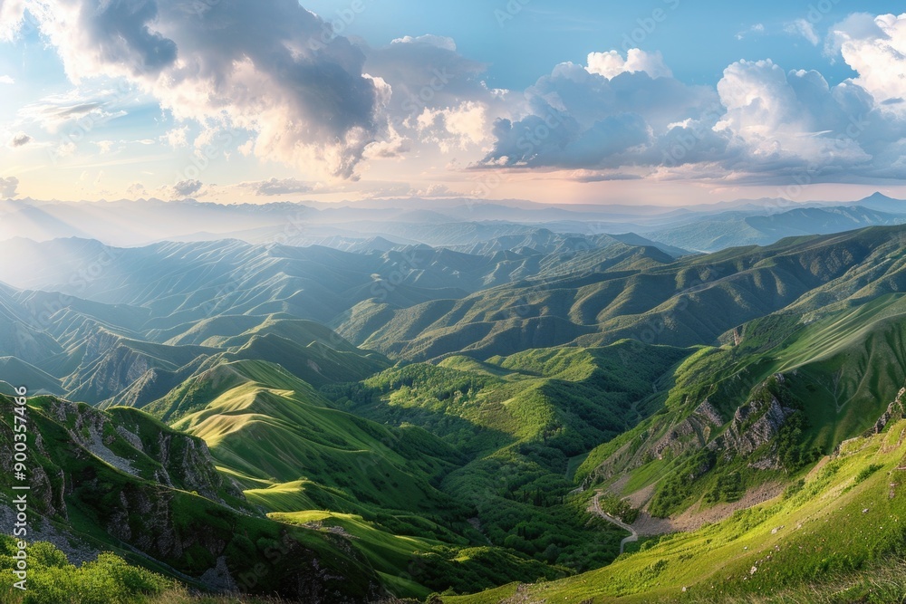 Naklejka premium A sunny day on a hillside with lush green grass and a clear blue sky