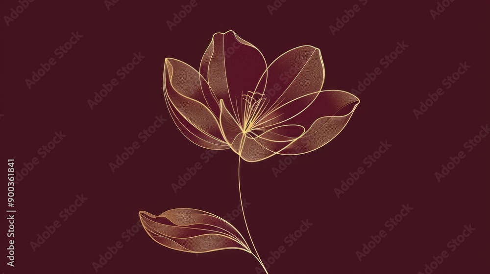 A single flower sits atop a stem against a dark background A single flower sits atop a stem against a dark background