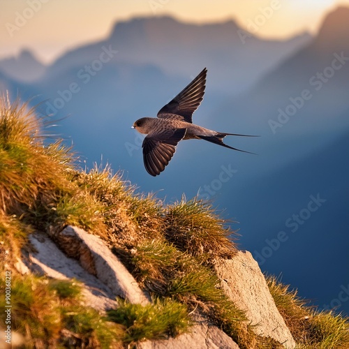 alpine swift bird, AI generated photo