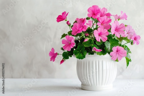 Wallpaper Mural Photo of geranium flower in a white flower pot on white background , Generative AI Torontodigital.ca