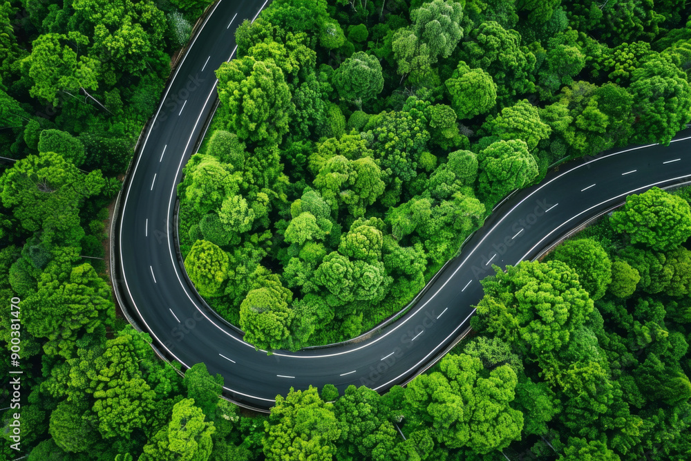 An aerial view of a winding road snaking through a dense verdant forest An aerial view of a winding road snaking through a dense verdant forest