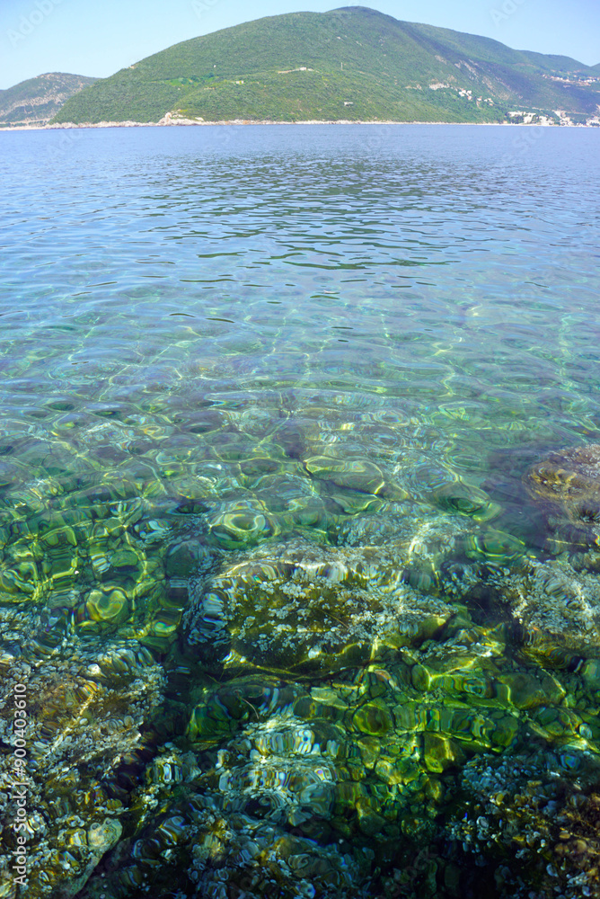 Fototapeta premium Summer seascape from Luštica peninsula: transparent sea water through which you can see stones with algae on the bottom, and a hill on the Košare peninsula. Beach vacation in the Bay of Kotor