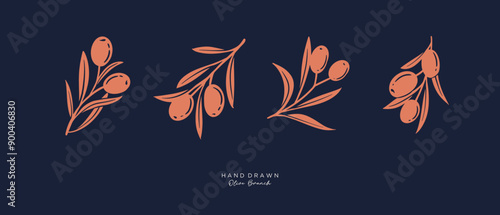 Olive Branch and olive oil logo or olive icon, herbs elements in vector format, floral olive frame and border virgin oil,  hand drawn olive branch botanical
