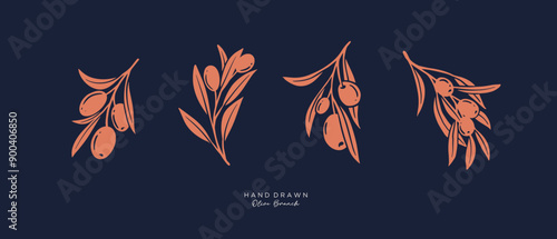 Olive Branch and olive oil logo or olive icon, herbs elements in vector format, floral olive frame and border virgin oil,  hand drawn olive branch botanical