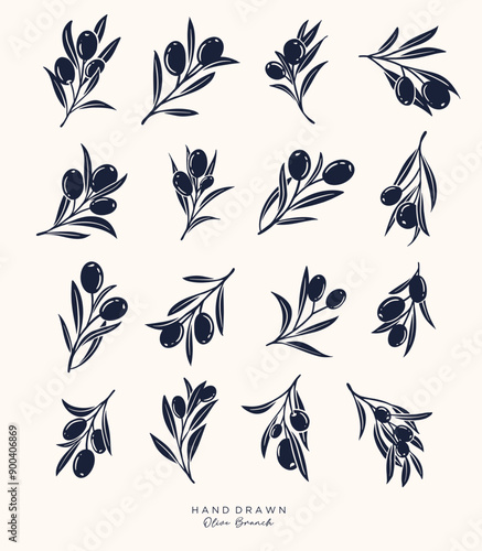 Olive Branch and olive oil logo or olive icon, herbs elements in vector format, floral olive frame and border virgin oil,  hand drawn olive branch botanical