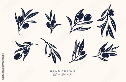 Olive Branch and olive oil logo or olive icon, herbs elements in vector format, floral olive frame and border virgin oil,  hand drawn olive branch botanical