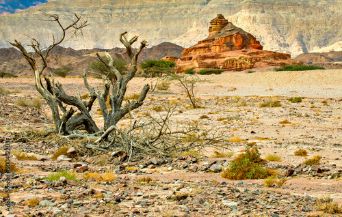 Geological nature park Timna is located 25 km north of Eilat (Israel); it com...