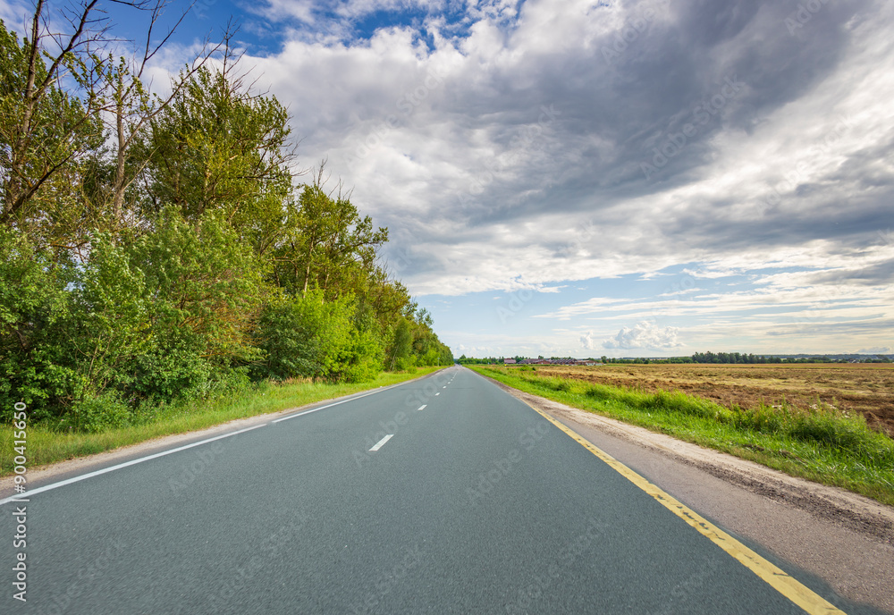 Fototapeta premium A road with a few trees on the side and a cloudy sky