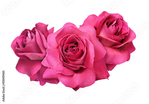 Fototapeta Naklejka Na Ścianę i Meble -  Red rose flowers in a floral arrangement isolated on white or transparent background