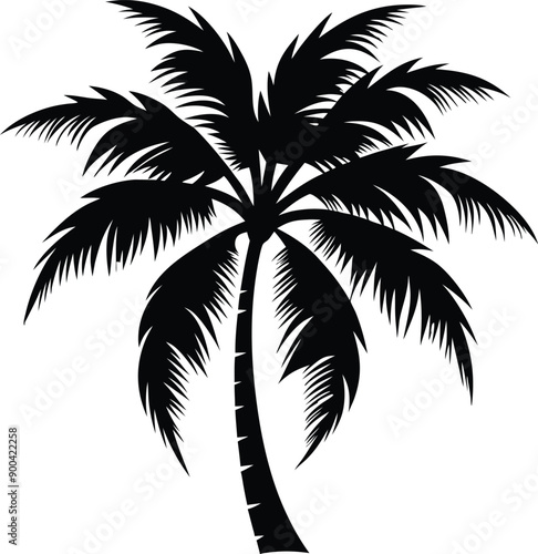 Palm tree silhouette
