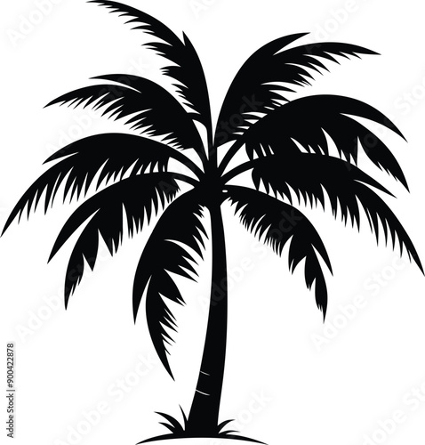 Palm tree silhouette