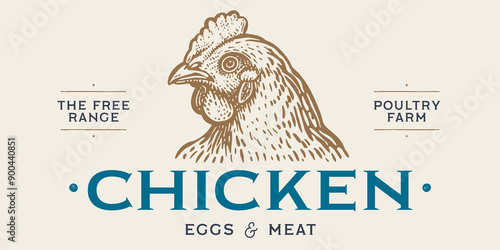 Chicken, hen head. Vintage retro print, chicken sketch ink pencil style drawing, engrave old school. Sketch artwork silhouette head chicken, white background. Side view profile. Vector Illustration