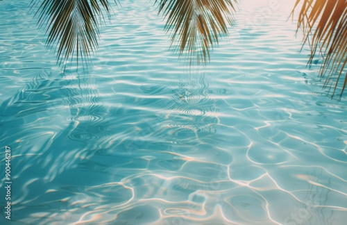 Palm Tree Over Pool Water