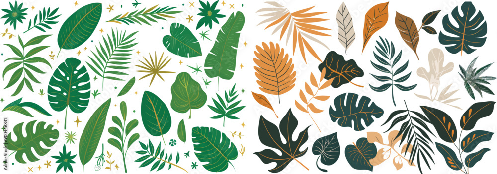 In this collection of tropical foliage , you will find , palms, and banana In this collection of tropical foliage , you will find , palms, and banana