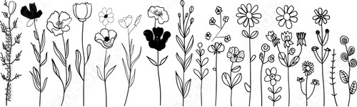   of wildflowers in black and white, with poppies, daisies, chamomiles, and meadow flowers.