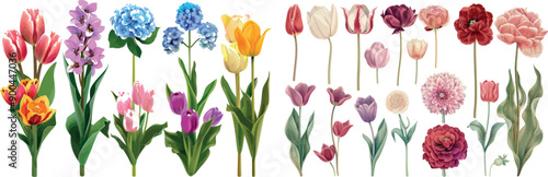 Illustration of a big set of flowers in a Victorian garden.