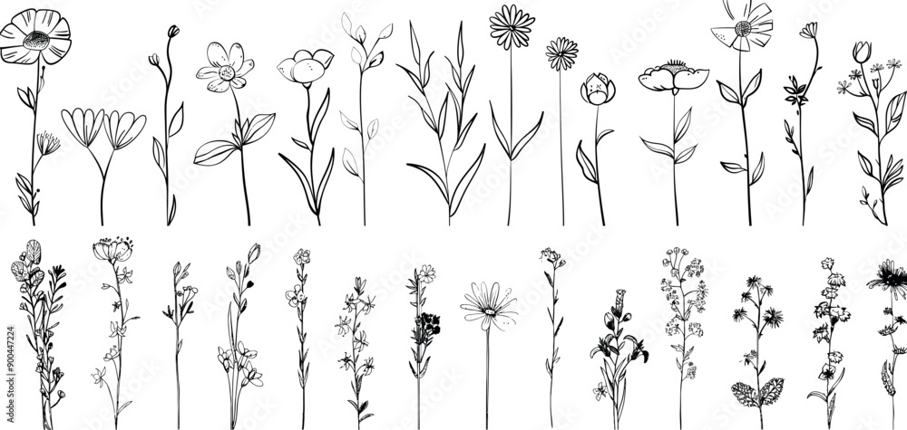 A botanical drawing with a minimal plant logo, meadow greenery, leaf and blooming flower arrangement abstract sketch element A botanical drawing with a minimal plant logo, meadow greenery, leaf and blooming flower arrangement abstract sketch element